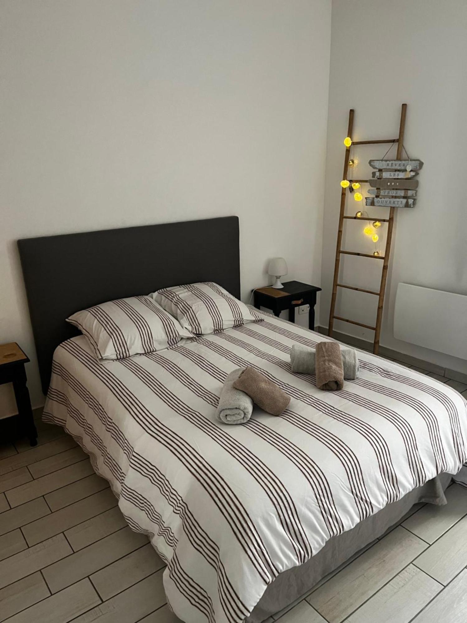 Joli Appartement Hypercentre T2, Classe Meuble De Tourisme 3 Avec Parking Gratuit Béziers Eksteriør bilde
