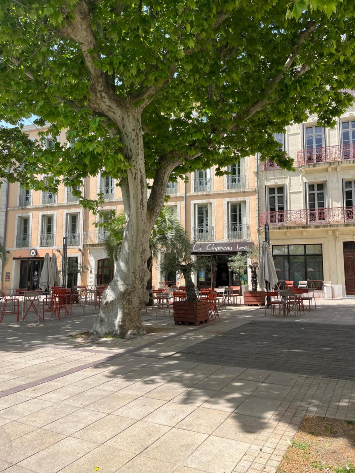 Joli Appartement Hypercentre T2, Classe Meuble De Tourisme 3 Avec Parking Gratuit Béziers Eksteriør bilde